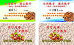 榛子名片