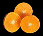 天草柑橘橙