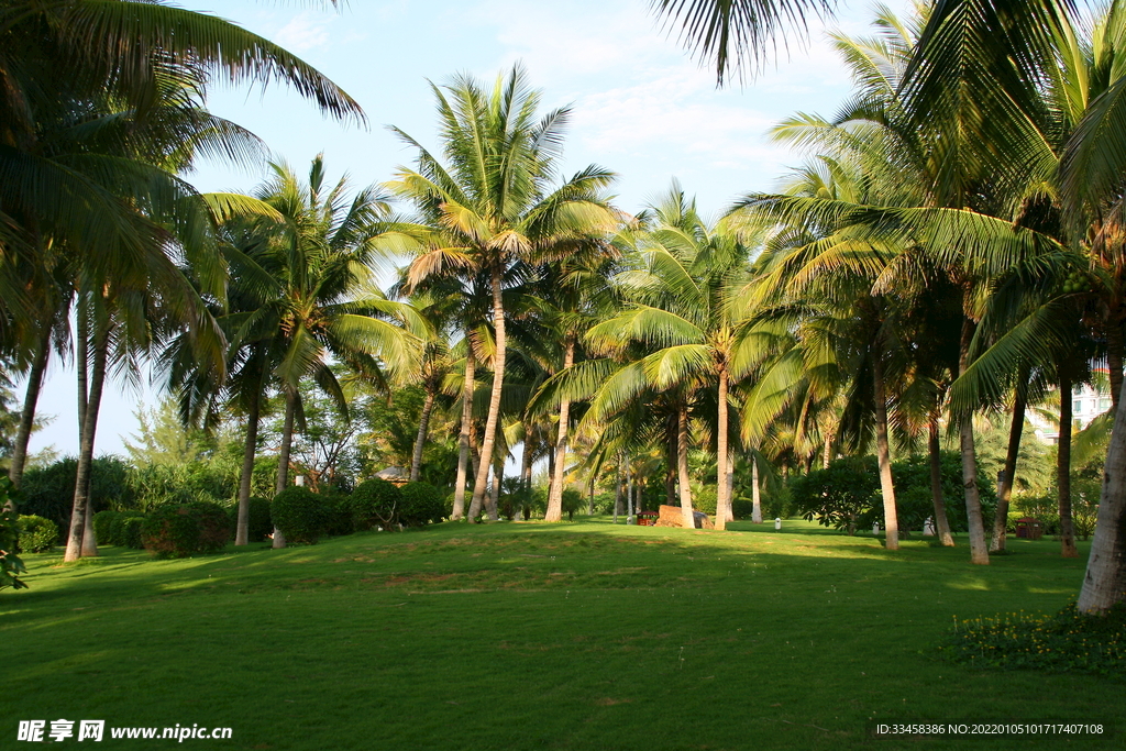 公園 美麗的風(fēng)景4K高清壁紙圖