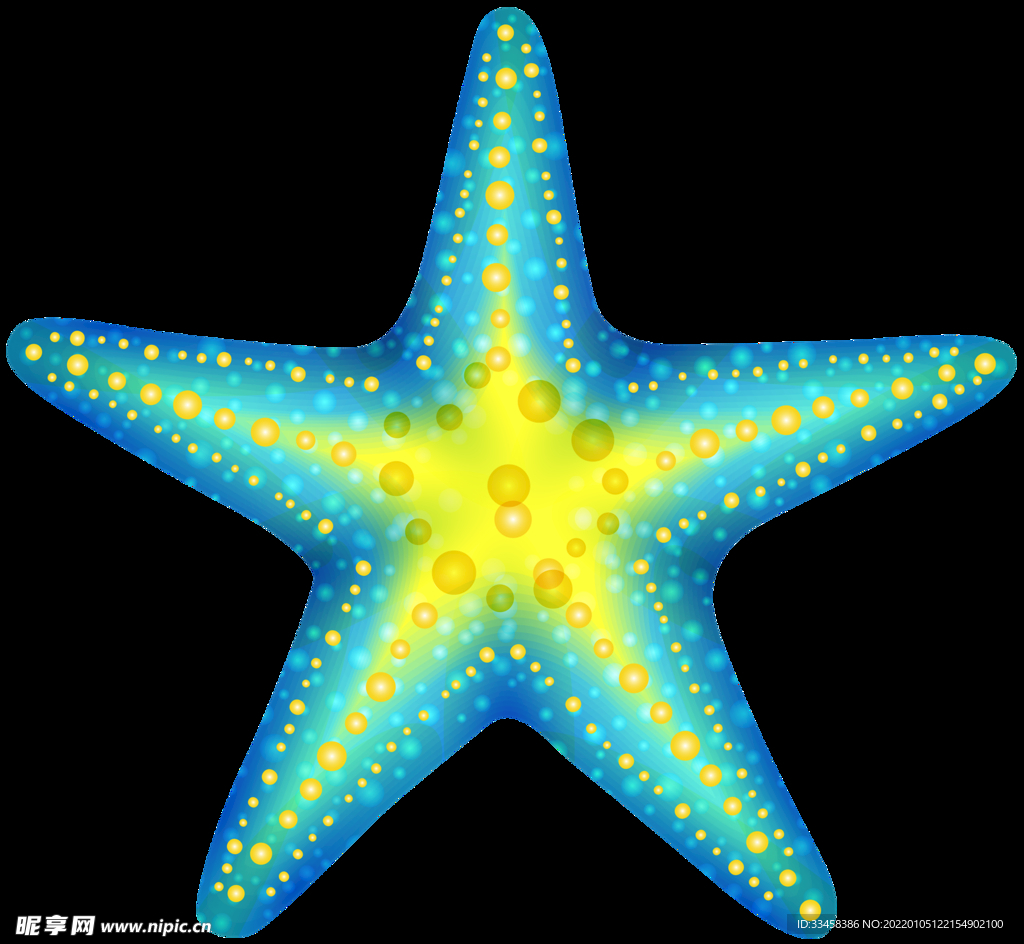 海星 png 素材 大海 攝影