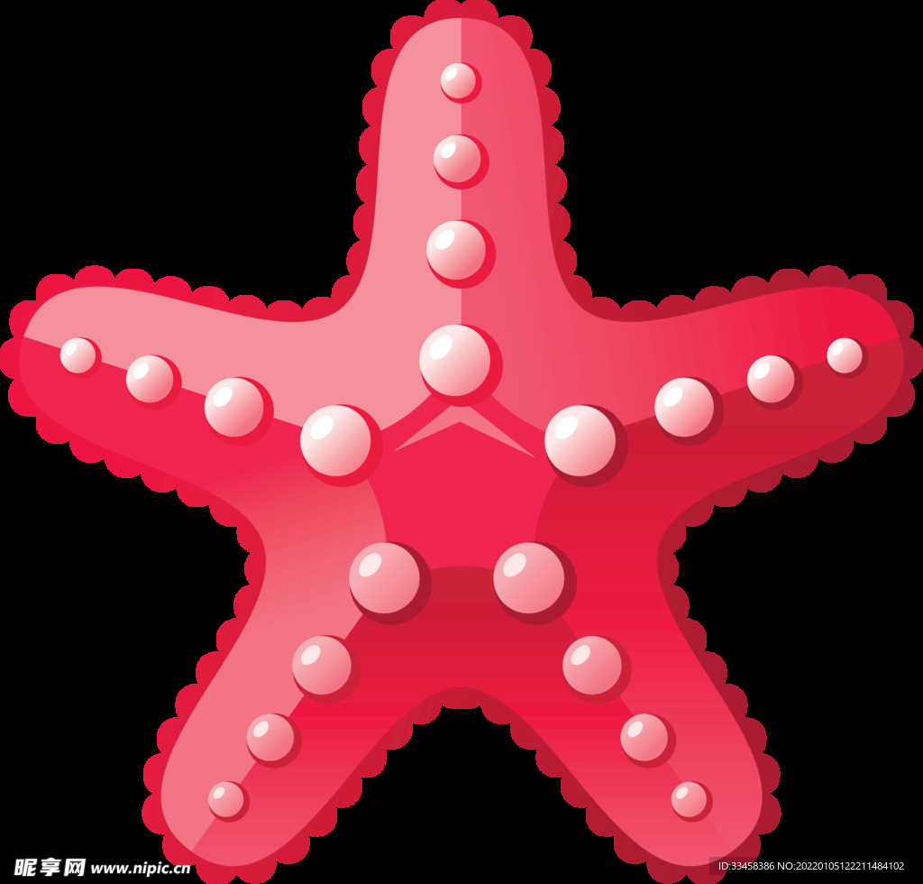 海星 png 素材 大海 攝影