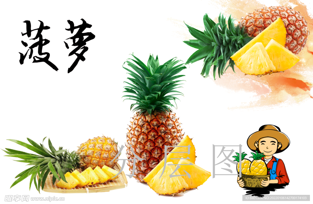 菠蘿圖片