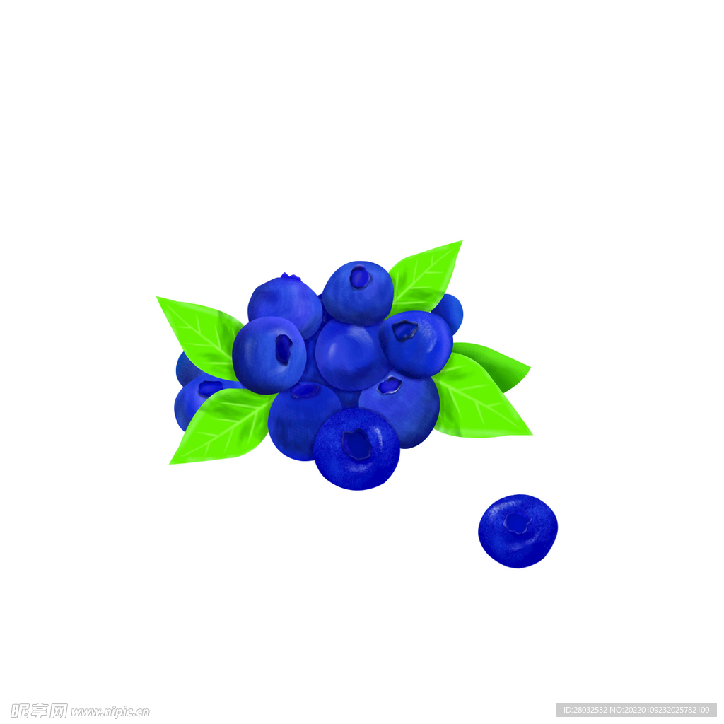 蓝莓手绘插画