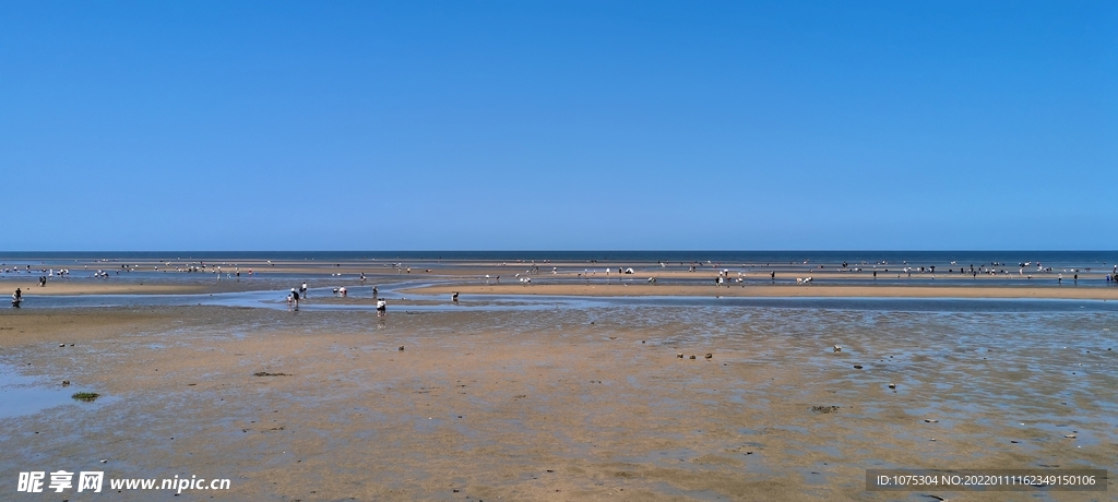 海灘