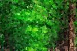 绿色色块 背景图  晶体化 
