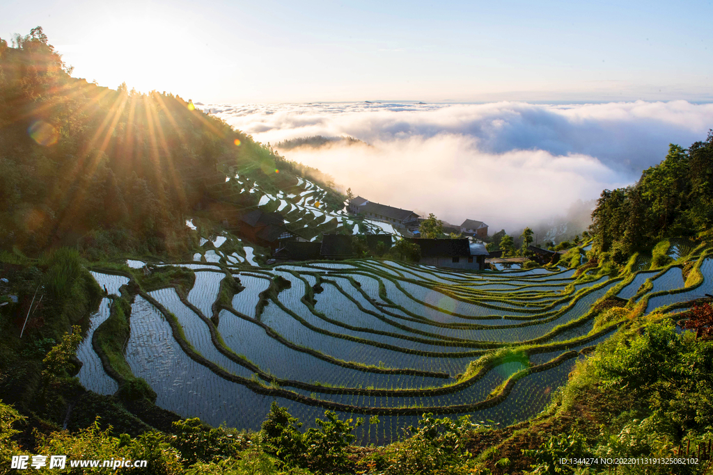 農(nóng)村景色 