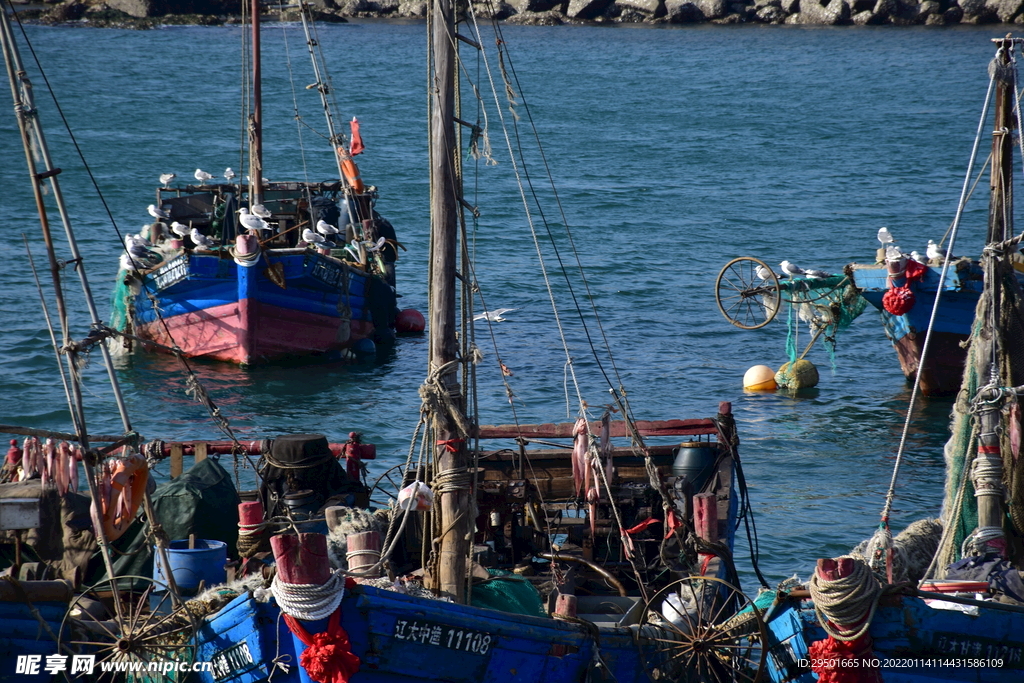 渔港渔人码头港口渔船海港海湾