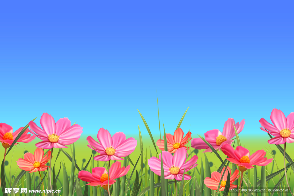 高清鮮花背景