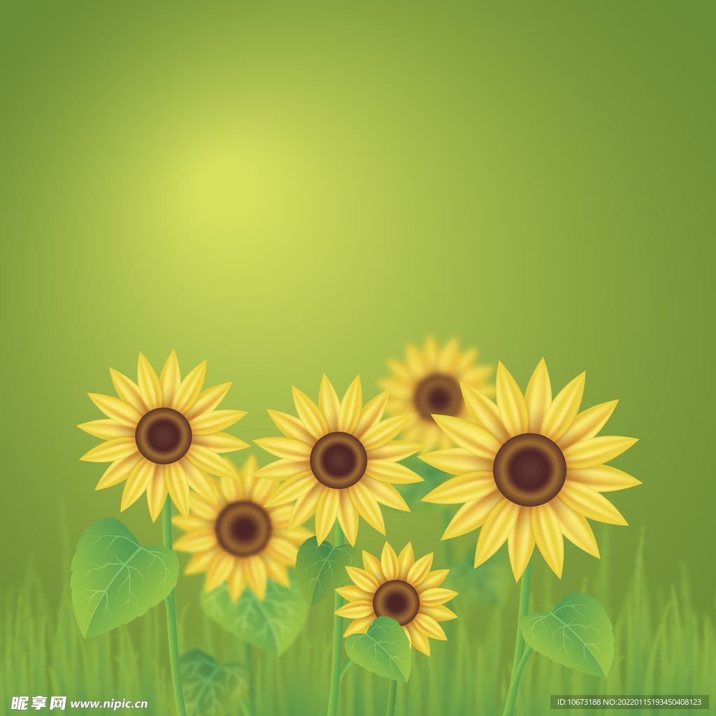 高清鮮花背景