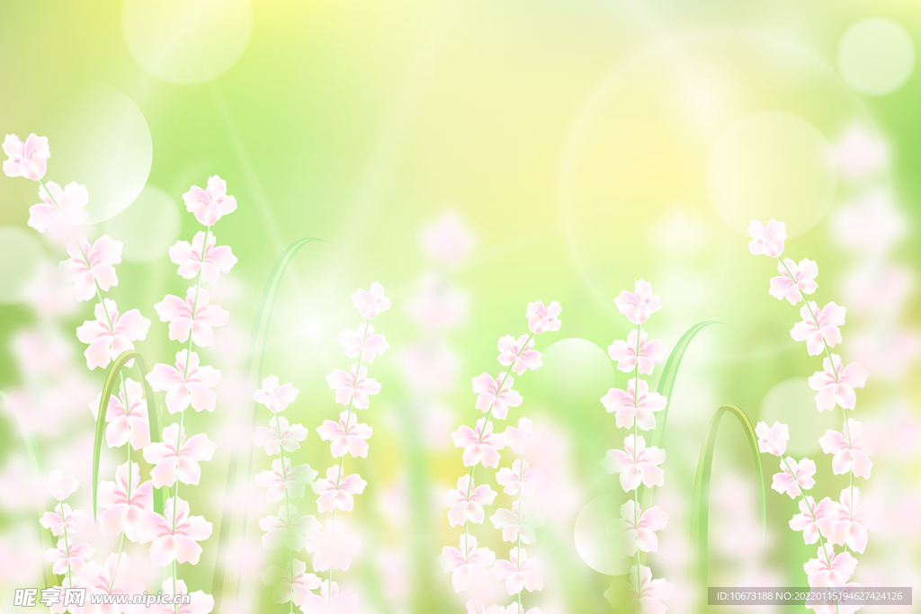 高清鮮花背景