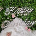 生日快樂霓虹燈標識高清圖