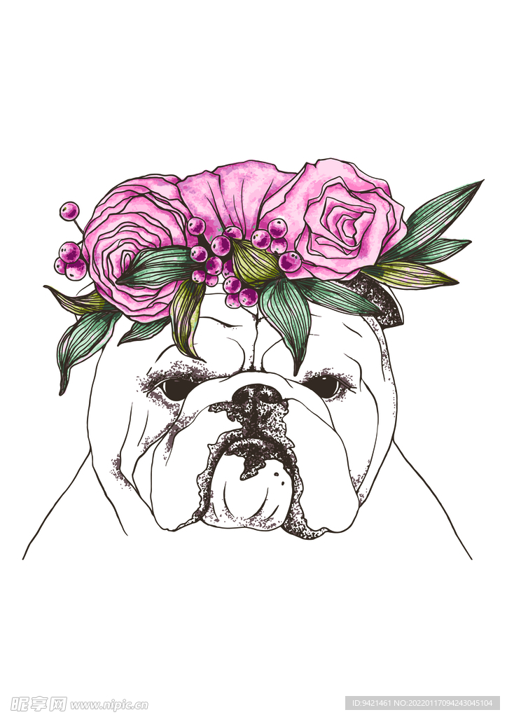 狗狗
