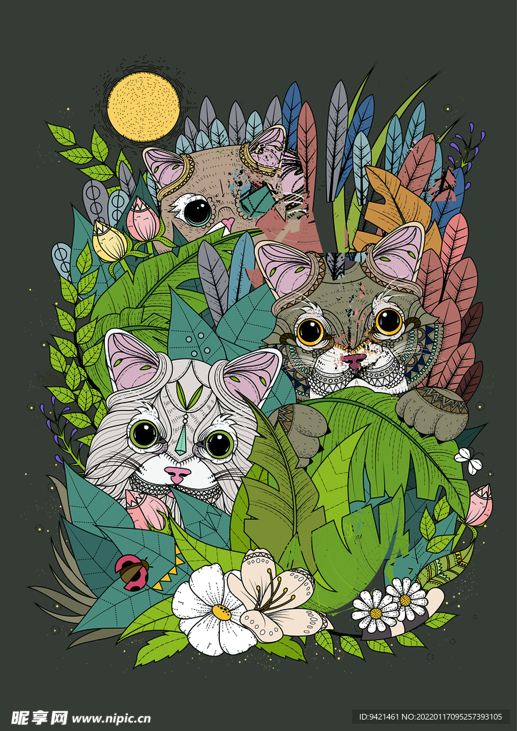 貓咪插畫