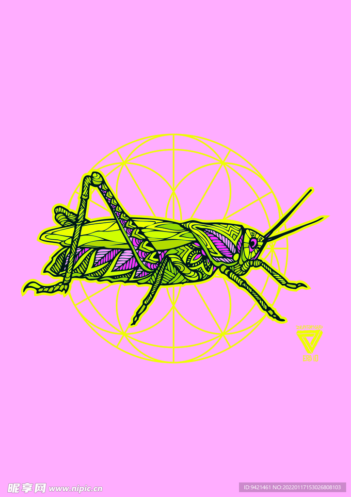 昆蟲插畫