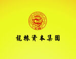龙辕资本集团 标志