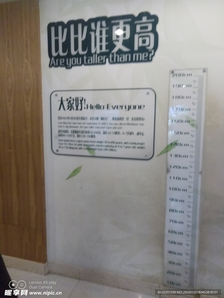  成都熊貓基地