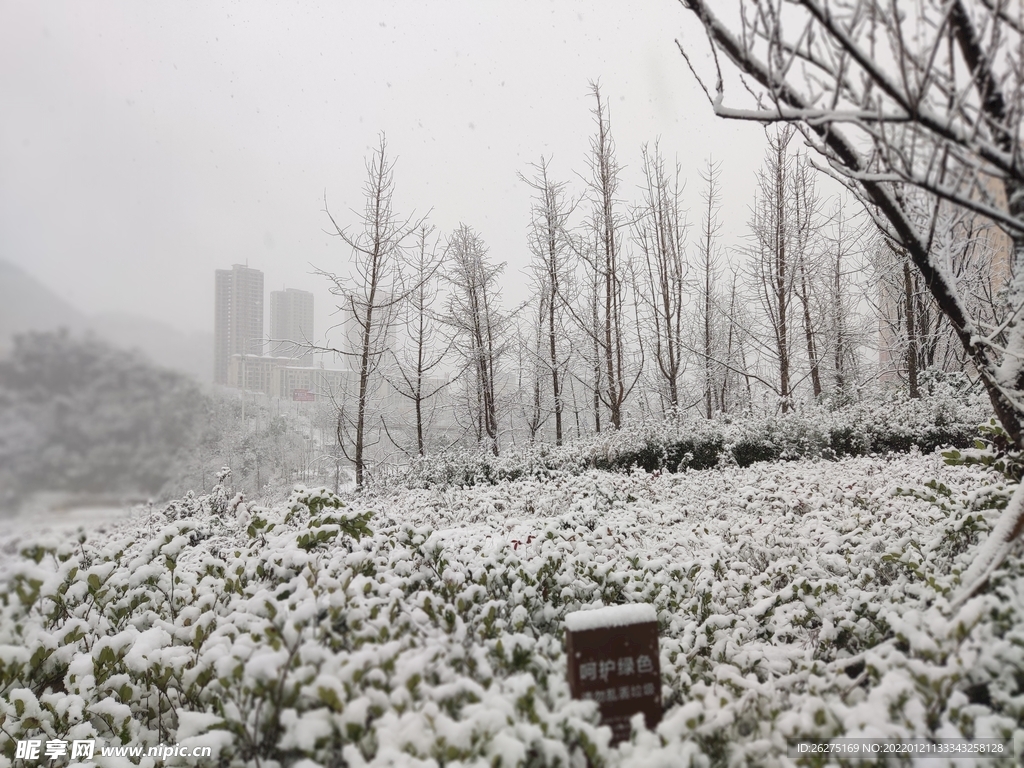 瑞雪兆丰年