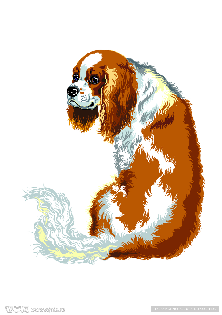 狗狗