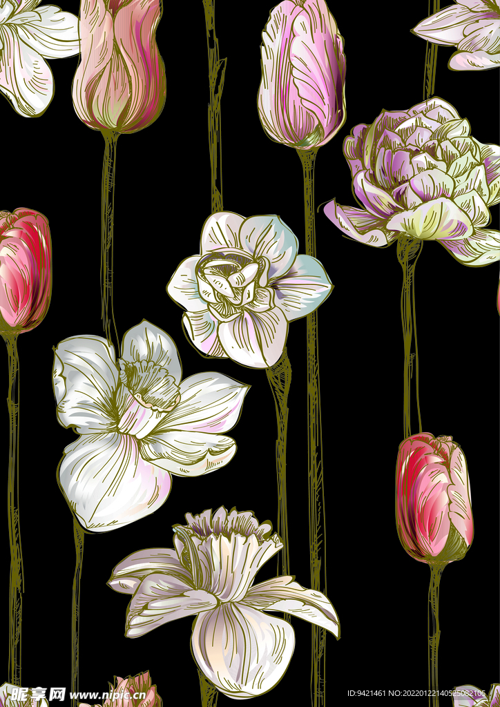 花卉插畫