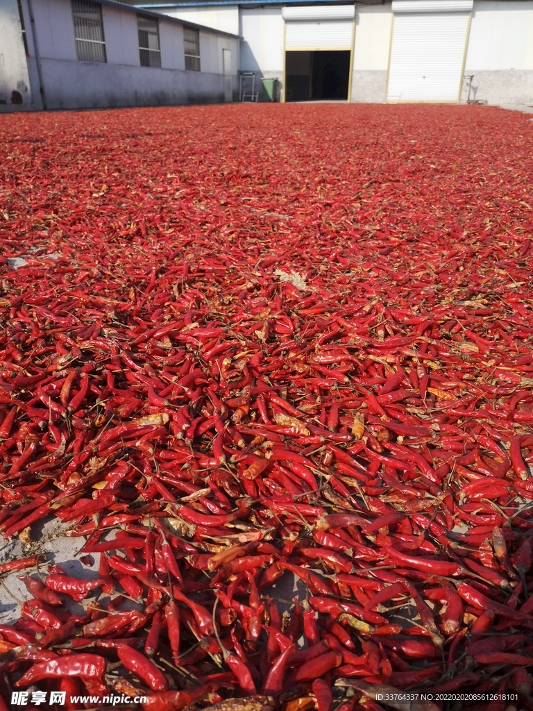 大地紅