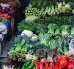各种蔬菜菜市场
