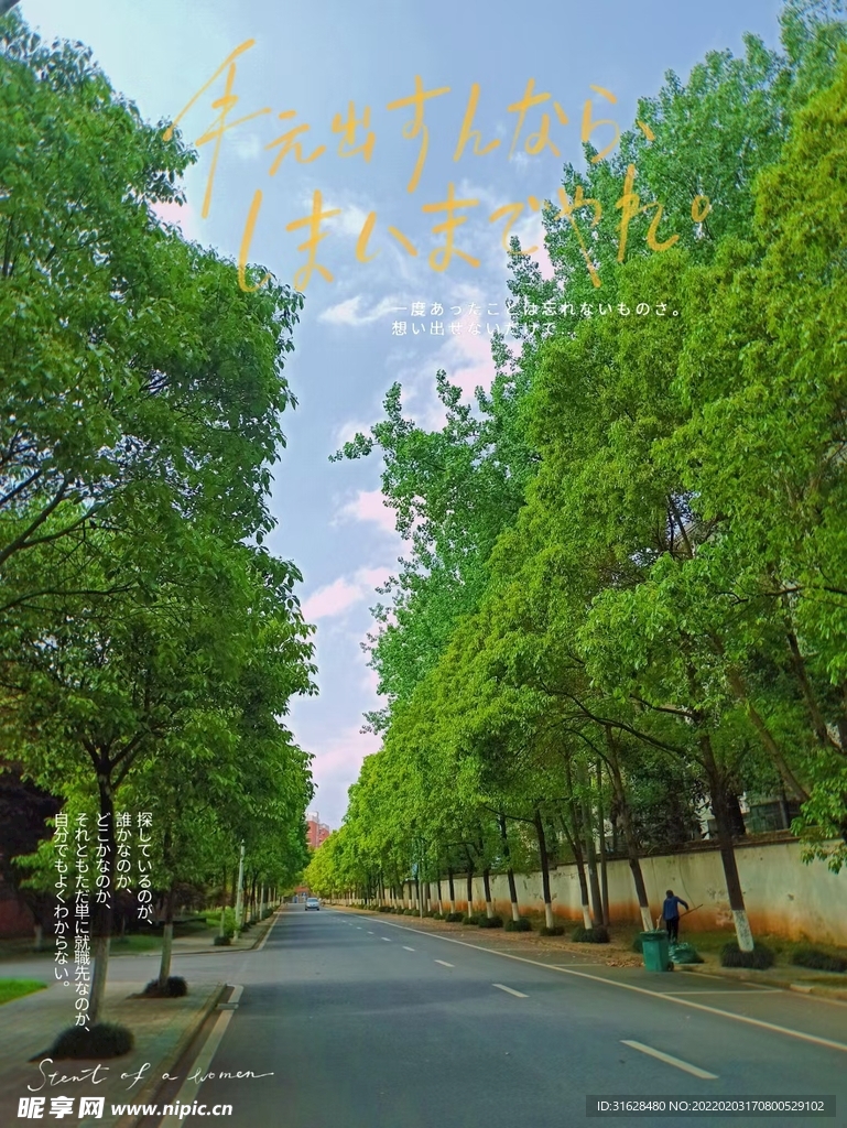 綠色街道