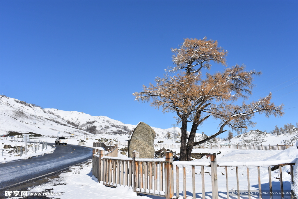 高原冬季雪景自然风光