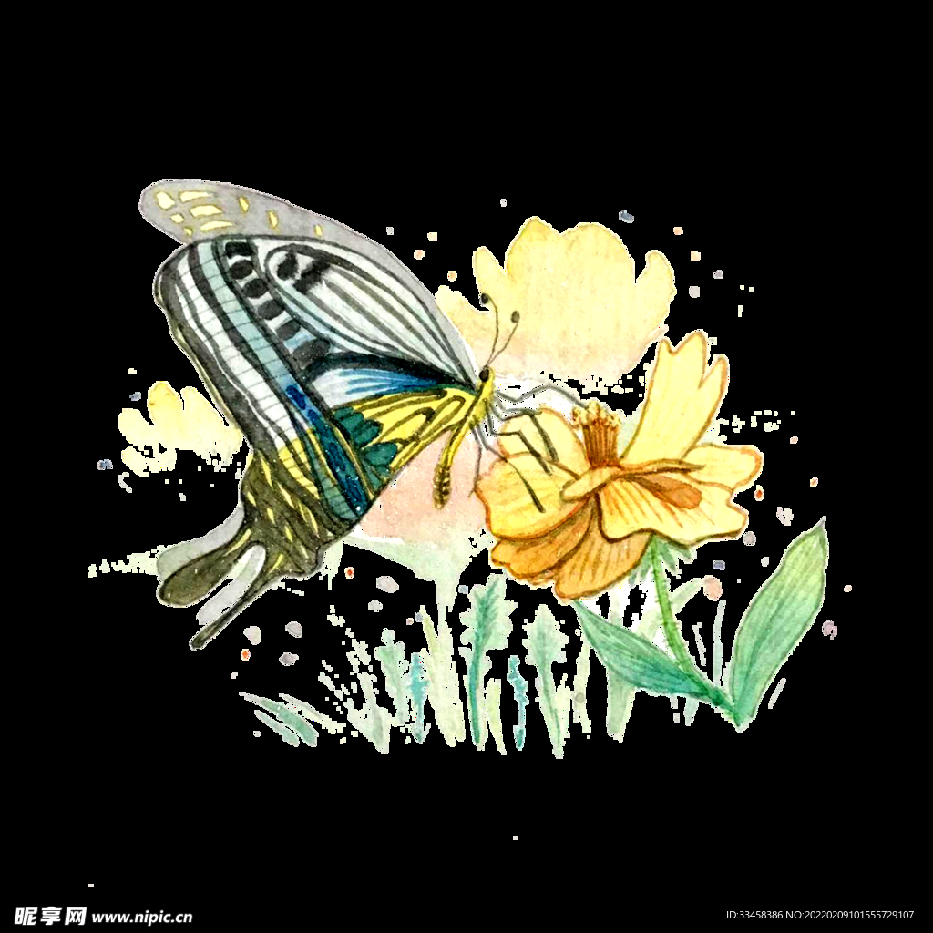 蝴蝶昆蟲花卉