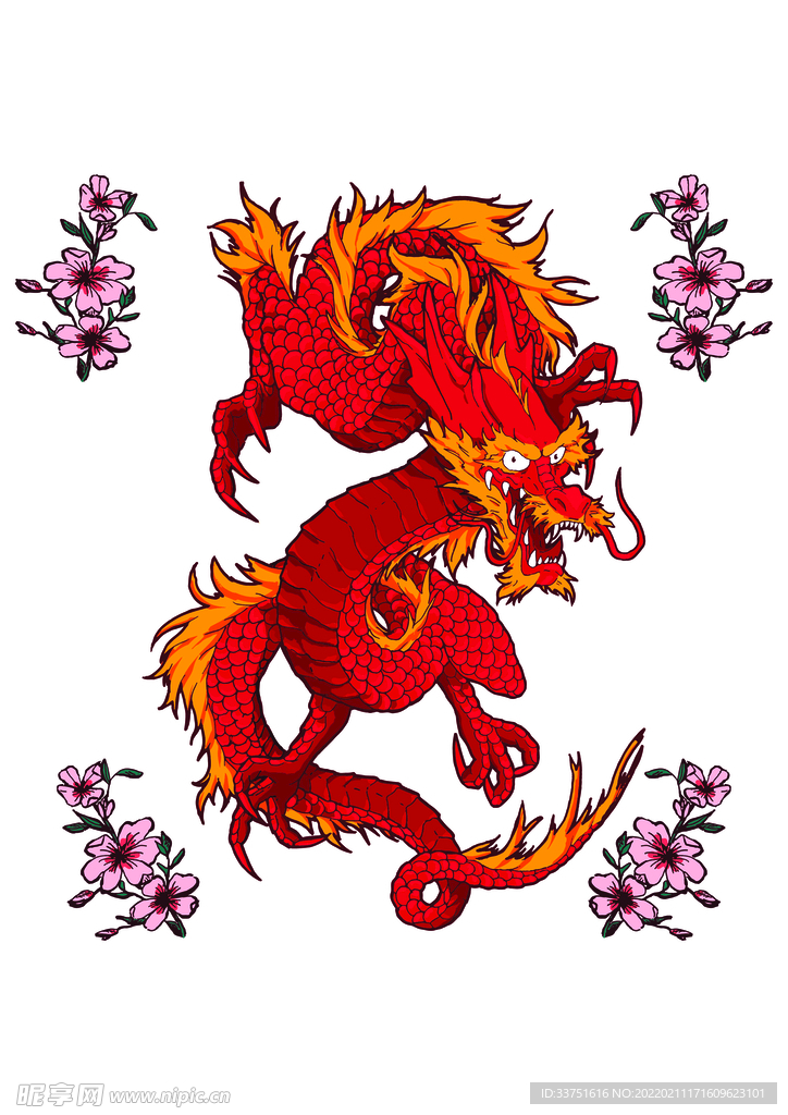 龍花卉