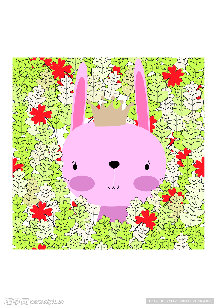 兔子花卉