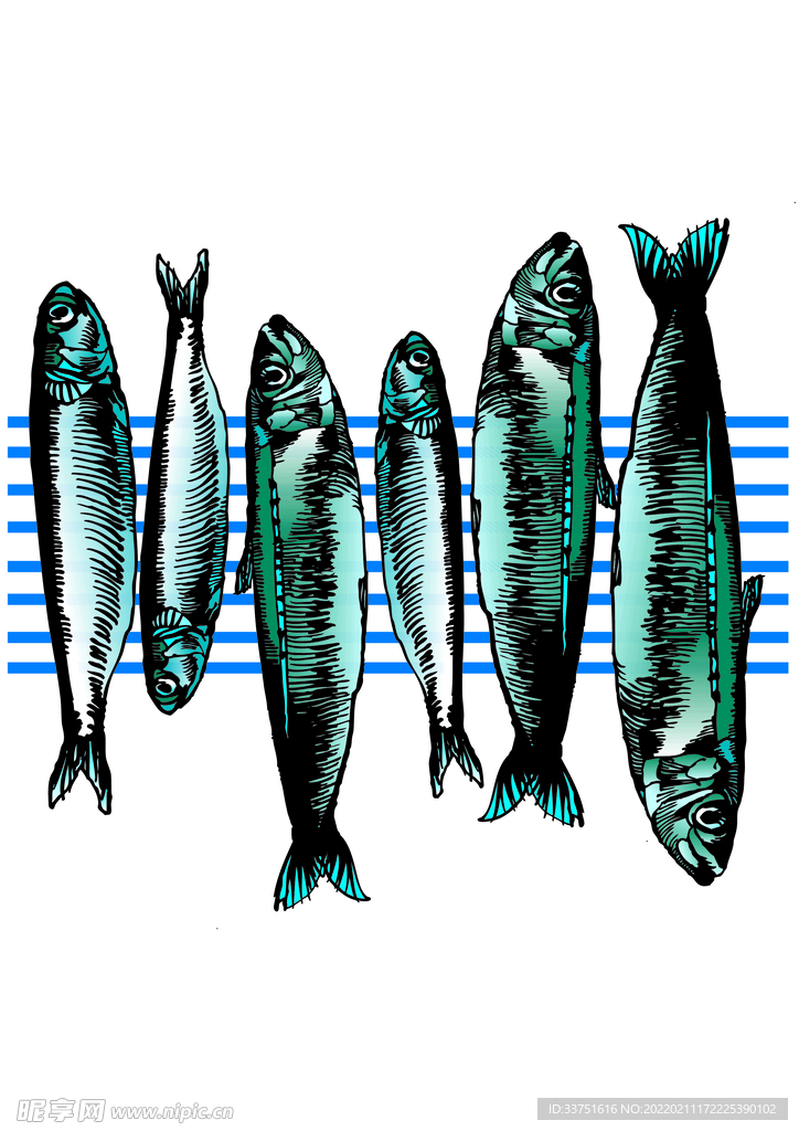 魚類條紋