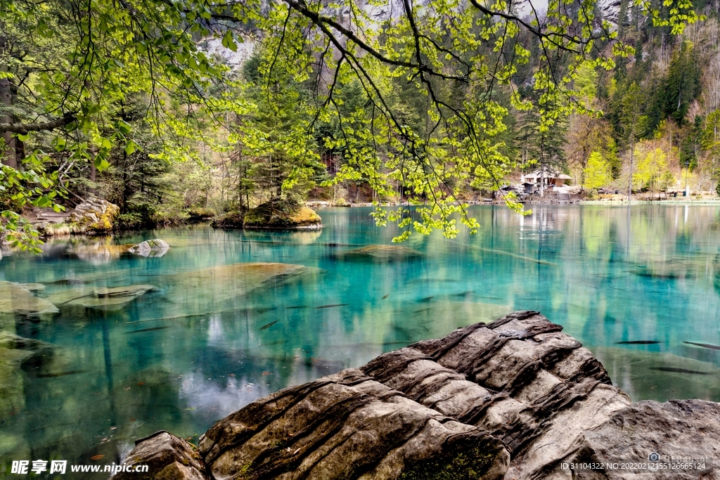 野外风景