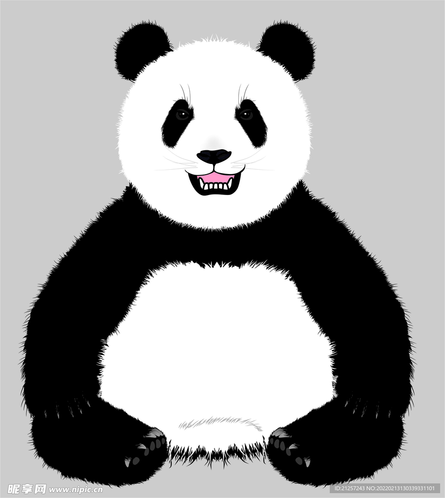 熊猫矢量插画 