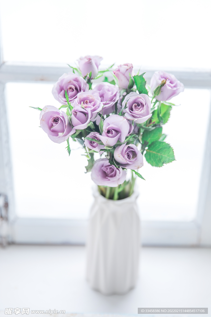 花朵攝影圖