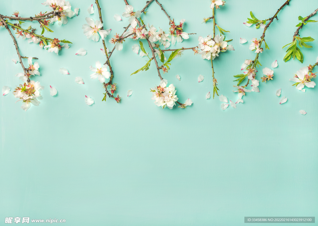 春季花卉背景