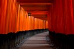 日本京都神社寺庙 许愿