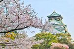 日本冬天樱花姬路城城楼世界文化