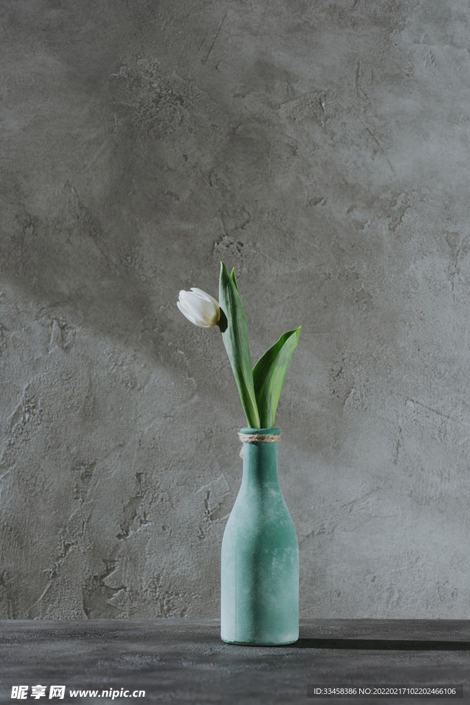蓝色花瓶上的白色春天