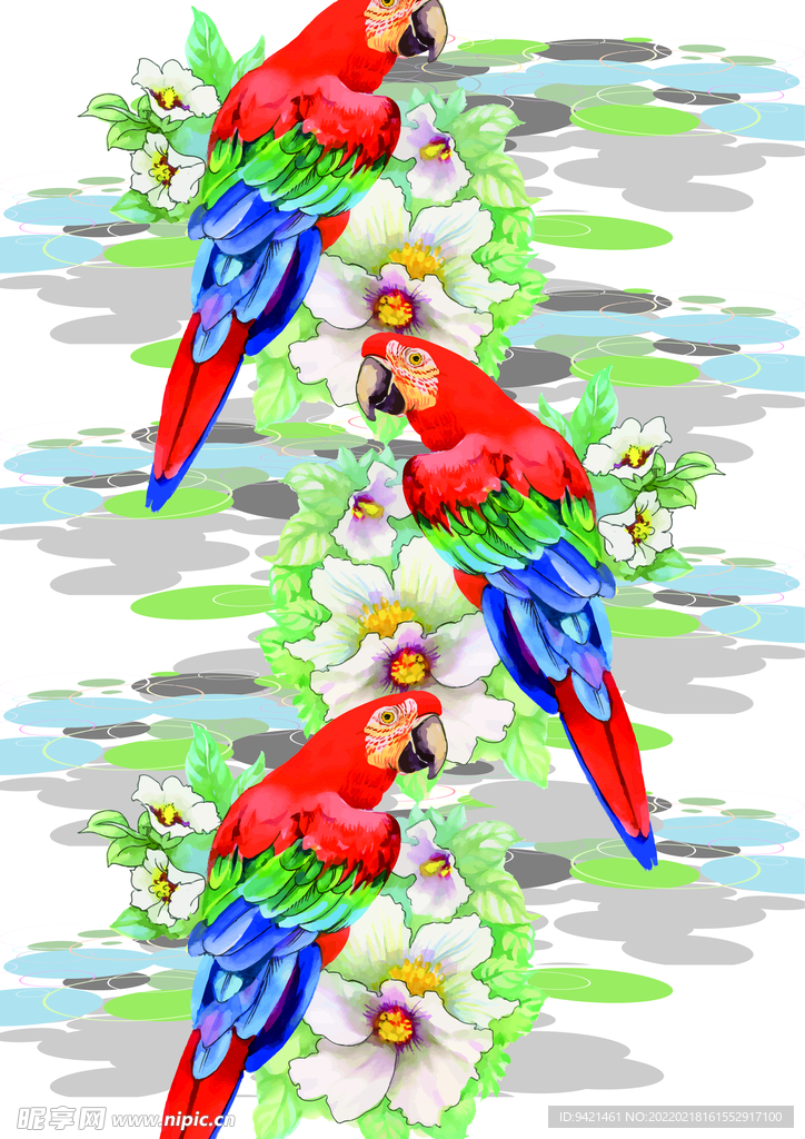 鸚鵡花卉