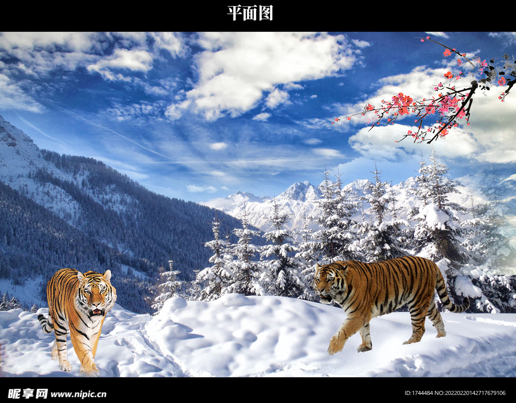 冬季雪景摄影美图图片
