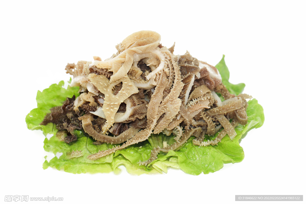 毛肚食材