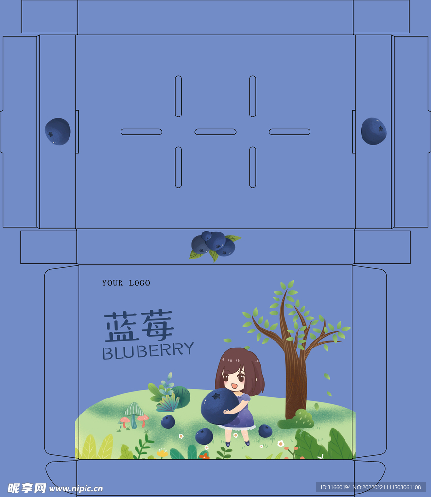 蓝莓盒