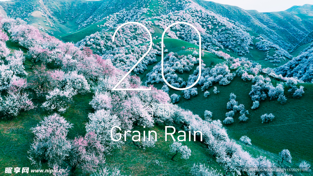 二十四節氣 谷雨