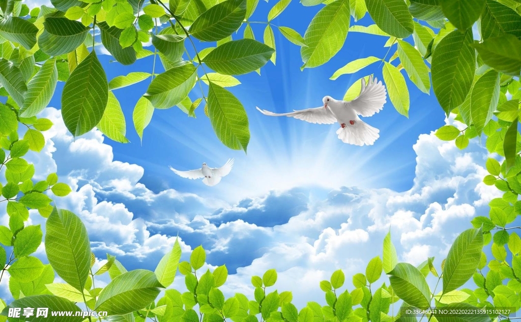晴朗天空