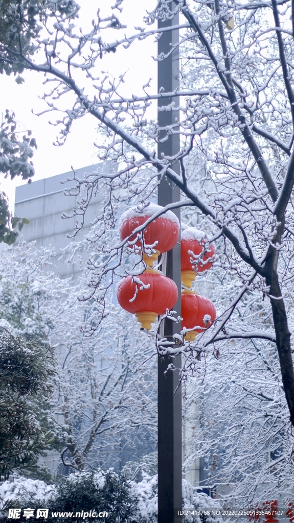 冬日雪景風(fēng)景 