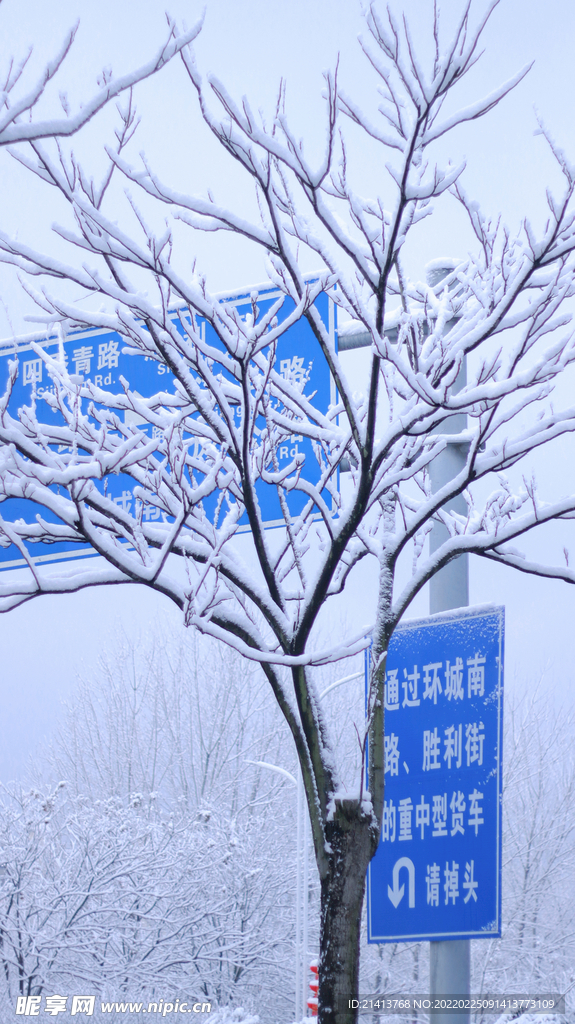 冬日雪景風景