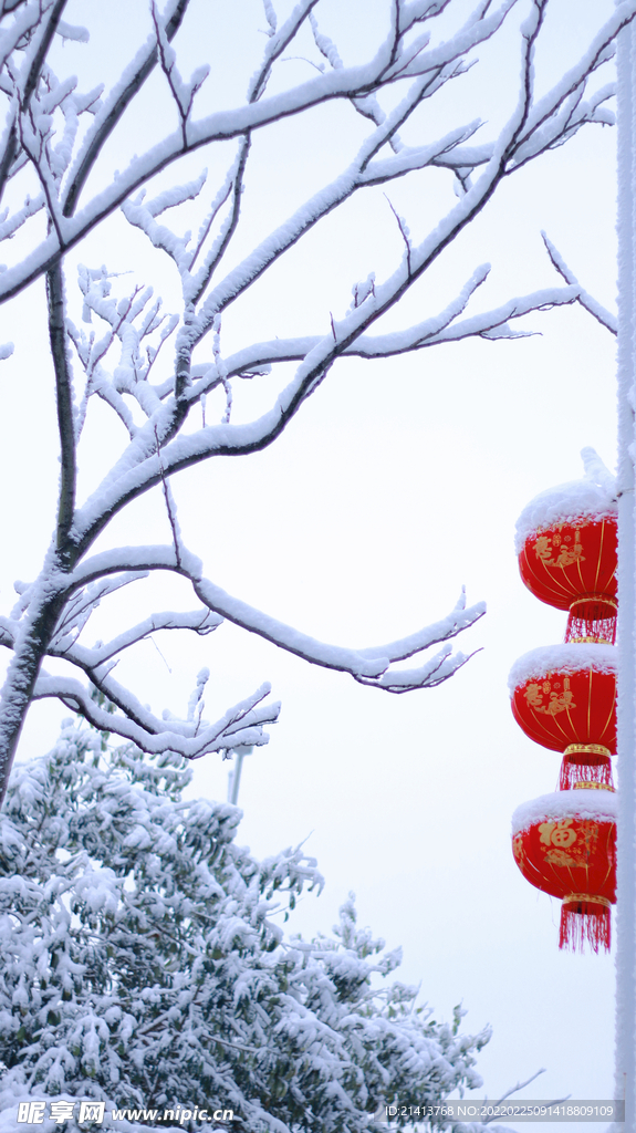 冬日雪景風景 