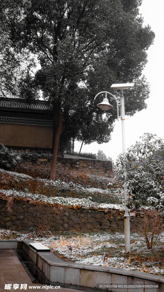 冬日雪景風景 