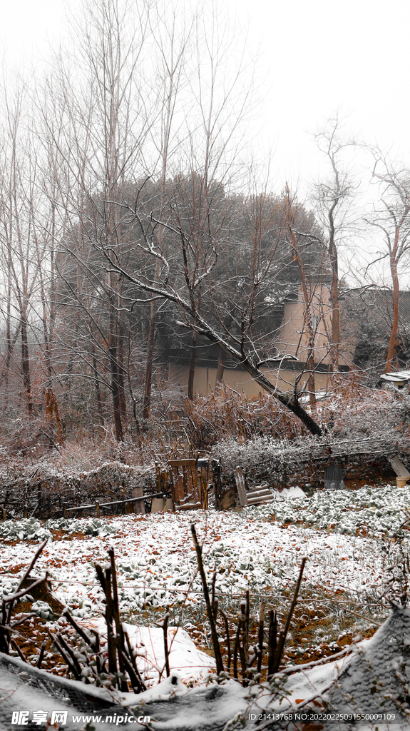 冬日雪景風景 