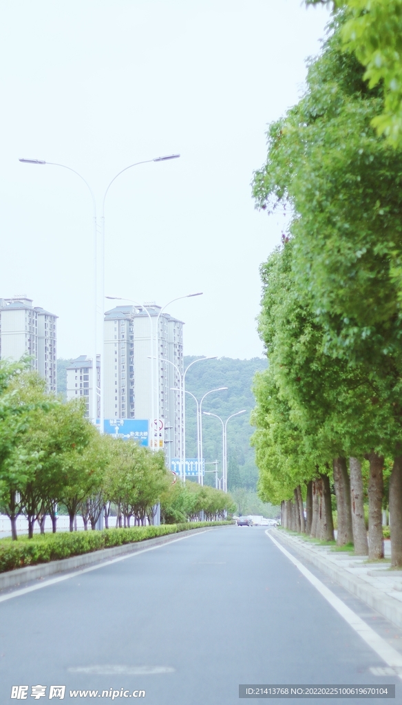 清新自然城市